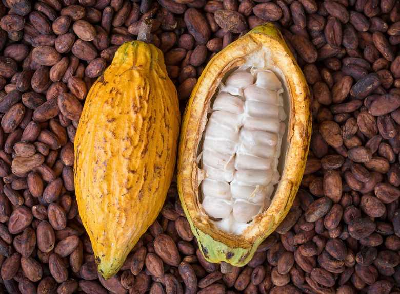 Ghana cocoa beans