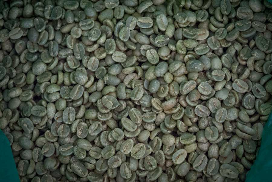 Кофе зеленый сот Typica