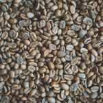 Catuai Green Panama
