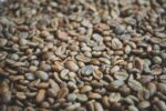 Catuai Green Panama