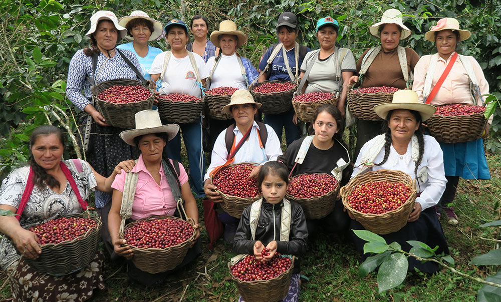 Кофе в Перу